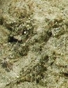 arrojadite