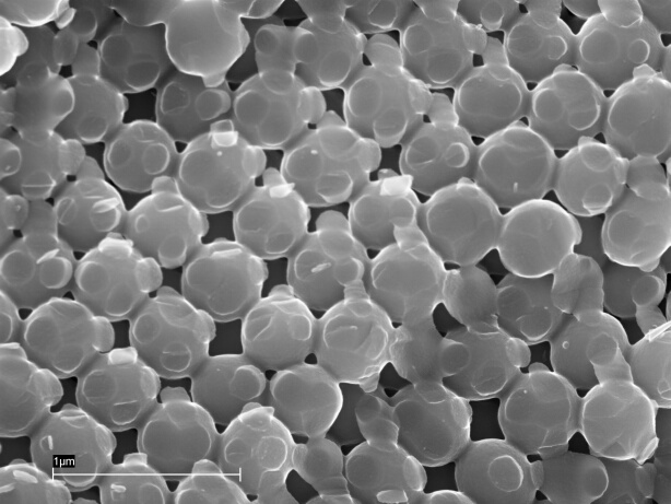 a) SEM image of crystallized silica spheres on a plain Si substrate.