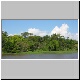 Amazon Green.jpg