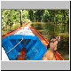 Jungle Feet.jpg