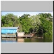 Jungle Home.jpg