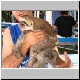 Sloth.jpg