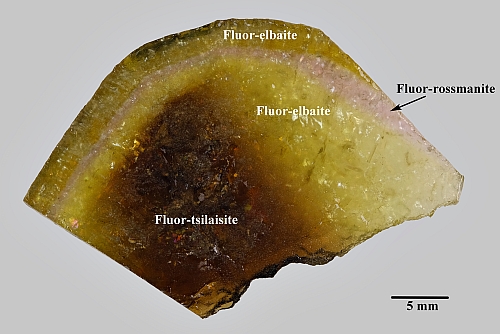 Fluor-rossmanite